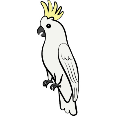 小葵花鳳頭鸚鵡